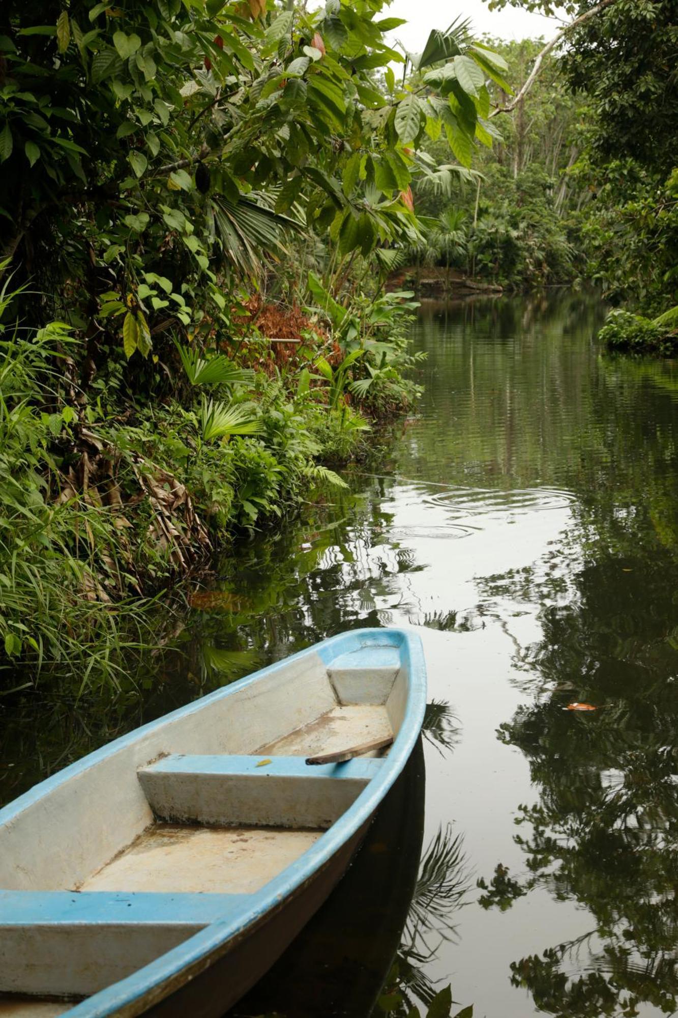 Amazon Lodge Misahualli